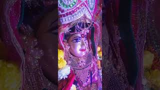 maa baglamukhi aye tere dwar maabaglamukhimandir seoni sampark 7804993348