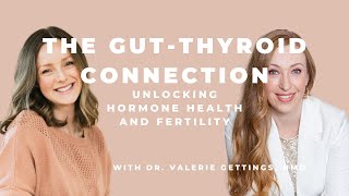 The Gut-Thyroid Connection: Unlocking Hormone Health and Fertility