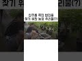 누가 내 상추 죽였어 shorts