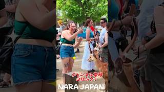 初めての奈良公園に感動する外国人観光客　 #外国人観光客