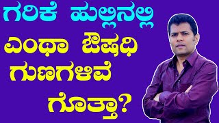 ಗರಿಕೆಯಲ್ಲಿದೆ ಔಷಧಿಗಳ ಭಂಡಾರ | garike hullu health benefits in kannada | garike hullu | ಗರಿಕೆ