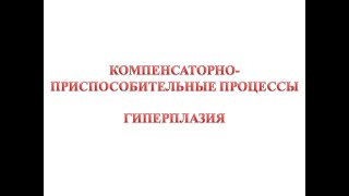 Компенсаторно-приспособительные процессы - гиперплазия