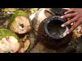 පොල් වතුරෙන් හදන සුපිරි රා 😱👀 coconut toddy recipe in sri lanka