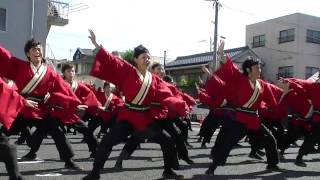 瑞浪美濃源氏七夕まつり2011　名古屋学生チーム『鯱』