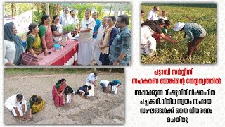 പട്ടാമ്പി പട്ടാമ്പി സർവീസ് സഹകരണ ബാങ്ക് കാർഷിക മേഖലയിൽ നടപ്പാക്കുന്ന വിവിധ പദ്ധതികളുടെ ഉദ്ഘാടനം