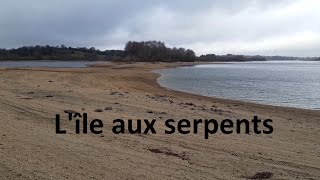 l'ile aux serpents (lac de Pareloup) #lac  #trailcam