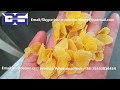 Made in China Roasted Corn Flakes  Machine/Kelloggs Crispy Cereal Snacks Extruder Machinery