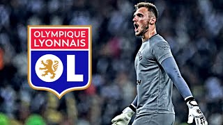 Lucas Perri 2023 ● The Wall ● Welcome to Olympique Lyonnais