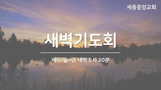 세종중앙교회 새벽기도회 250214