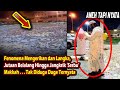 Aneh Tapi Nyata, Fenomena Mengerikan dan Langka, Jutaan Belalang dan Jangkrik ‘Serbu’ Makkah