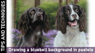 HOW TO DRAW A BLUEBELL BACKGROUND IN PASTELS | TIPS FOR DRAWING FUR