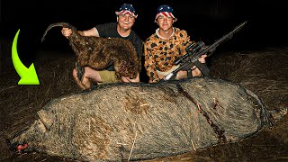 We SHOT HOGZILLA and a STATE RECORD BEAVER(SCOPE CAM)