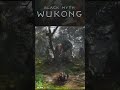 Black Myth Wukong- Wandering Wight Boss Fight #gaming #gamer #gameplay #blackmyth #shorts #short #yt