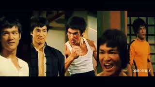 Bruce Lee the Year of the Dragon 1940