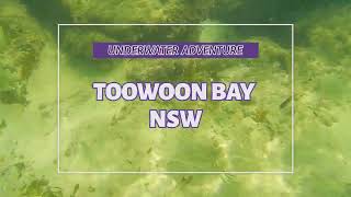 Underwater Adventures - Toowoon Bay NSW