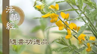 【靜思妙蓮華】法華經隨喜功德品 - 聞善深心 信受力行 - 第1634集 20240318