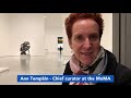 Ann Tempkin - Chief curator at the MoMA