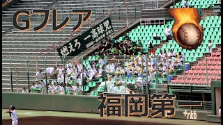 福岡第一の応援！！Gフレア！！2019秋季高校野球福岡大会決勝！！