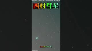 西村彗星 2023/9/2 ライブ2