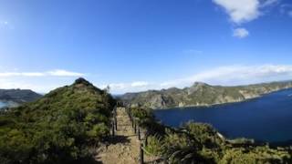 【360度動画】電信山遊歩道　小笠原諸島