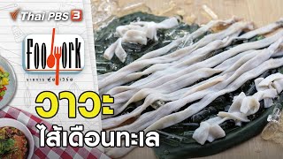 วาวะ...ไส้เดือนทะเล : Foodwork (18 เม.ย. 64)