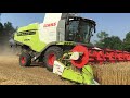 new claas lexion 740 trebbiatura frumento 2019 f.lli candiotto