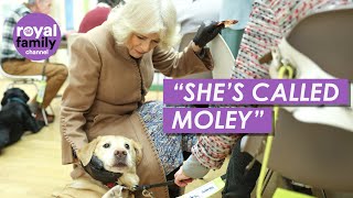 Queen Camilla Reveals She Has New Rescue Puppy During Statue Unveiling