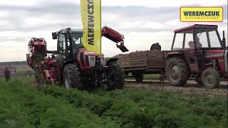 Carrot harvesting 2018 with ALINA SUPERNOVA ( with URSUS)