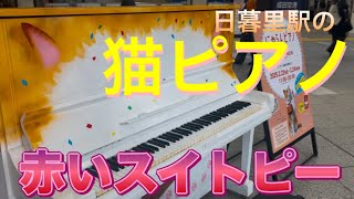 日暮里駅構内の期間限定ピアノで、松田聖子さんの「赤いスイトピー」を演奏 #ストリートピアノ