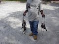 little river sc talking to a fisherman with a stringer of black bass.