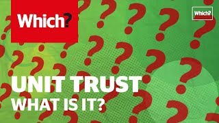 What is a unit trust?