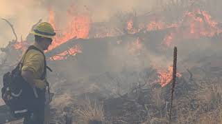Prepare Your Home for Wildfires