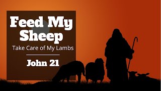 John 21 Jesus Gives Peter the Task to Feed His Sheep