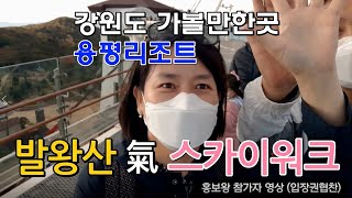 강원도 가볼만한곳 용평리조트 발왕산 기 스카이워크