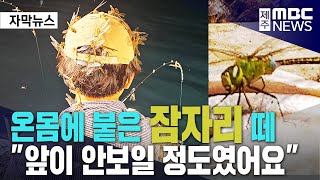 제주 잠자리떼 낚싯배 습격사건ㅣ\