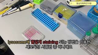 (주)동남의화학연구원_세포독성시험, cytotoxic assay, neutral red assay