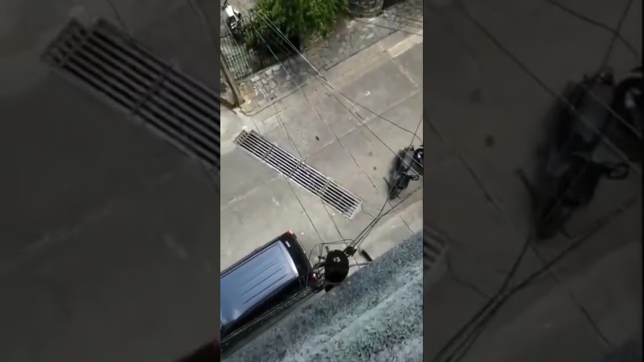 Rat Comes Out of Drawer and Jumps Down Balcony From Considerable Height - 1353489