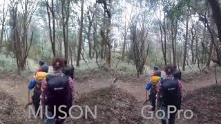 MUSON actionCamera VS GoPro HERO session 画質比較