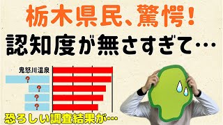 【名前は知ってるけど場所を知らない】栃木県の認知度が低すぎて…【群馬と栃木の「おとなり劇場」】