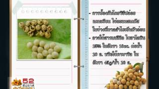 52สัปดาห์รู้เพื่อรวย55 3 w2 ลำไย