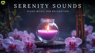 专注与平衡，沉浸舒缓的音乐 🍀 Focus \u0026 Balance with Gentle Music