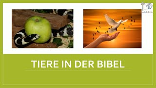 Sonntagschule - Tiere in der Bibel (#Kinderstunde #Kinderkirche #Kindergottesdienst)