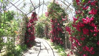 埼玉県名所巡り－彩情景 「平成の森公園」/Tour attractions in Saitama Prefecture. \