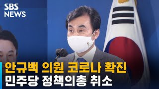 안규백 의원 코로나19 확진…민주당 정책의총 취소 / SBS