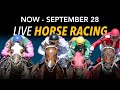 August 9, 2024 Live Horse Racing at Prairie Meadows