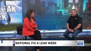 Fix a Leak Week: Common signs to identify a leak in your home