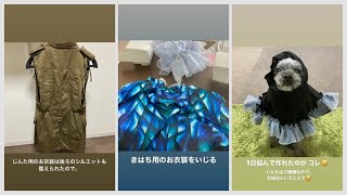 もんち、引き続きドッグダンスの衣装を調整する（Today's Instagram Stories 2023年2月20日）