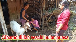 🔴 Bulan puasa penuh hikmah dan berkah, Alhamdulillah kambing yuni yang di gadug mbak arin beranak