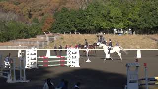 第4回関東学生馬術男子競技大会　障害馬術競技　1年　鷹見　優　桜陸