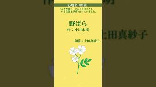 【名作をよむ】声優朗読『野ばら』心地よい、癒しの朗読をお届けします。 #名作文学 #twitter #朗読 #オーディオブック